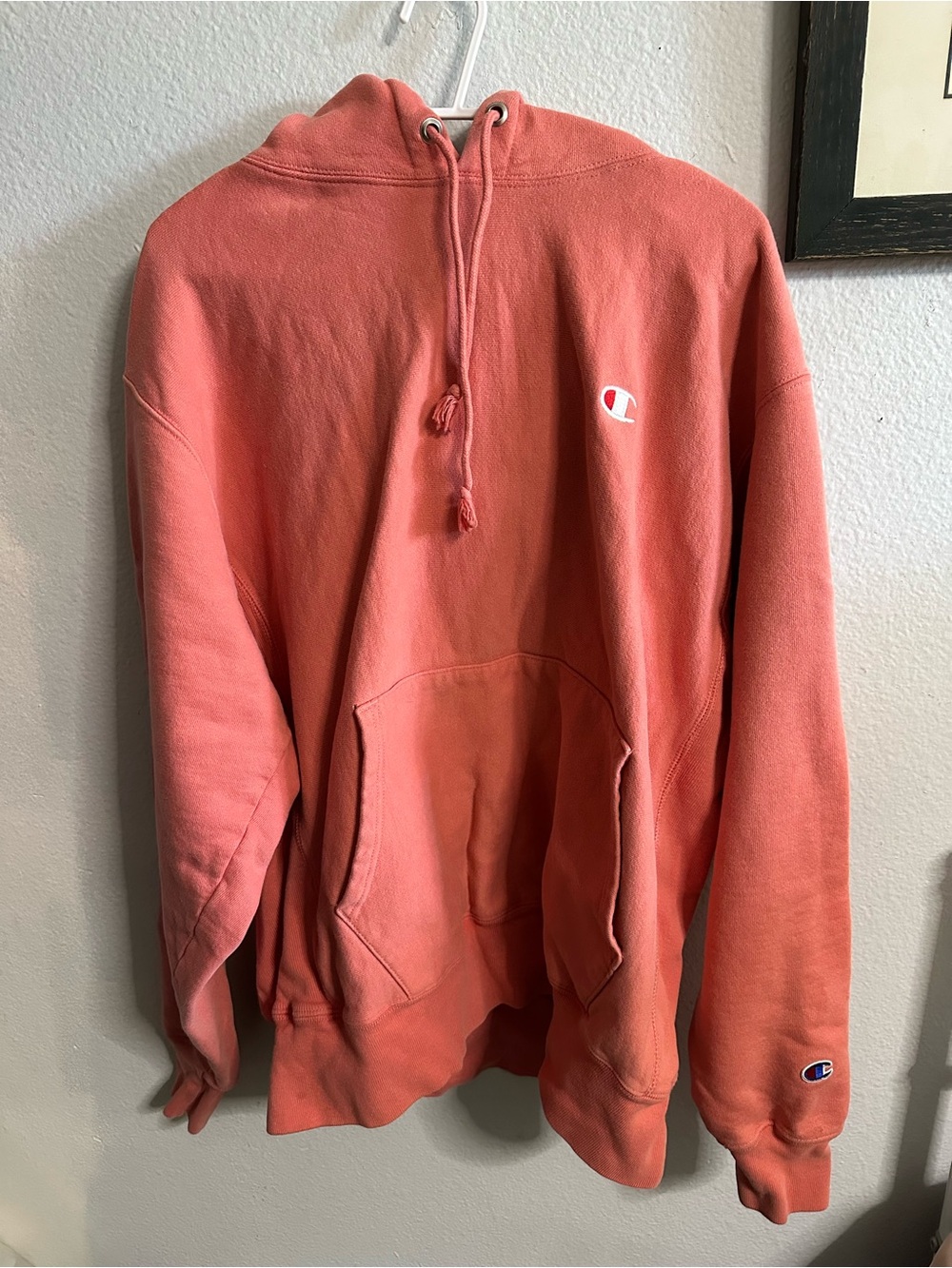 Champion Coral Hoodie Sweatshirt